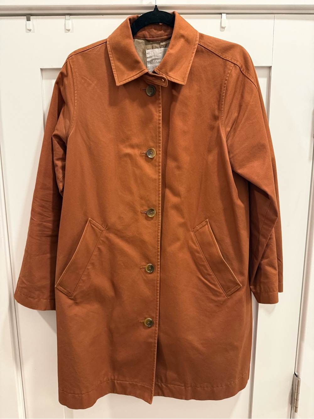 Everlane Rust Single-Breasted Button Trench Coat